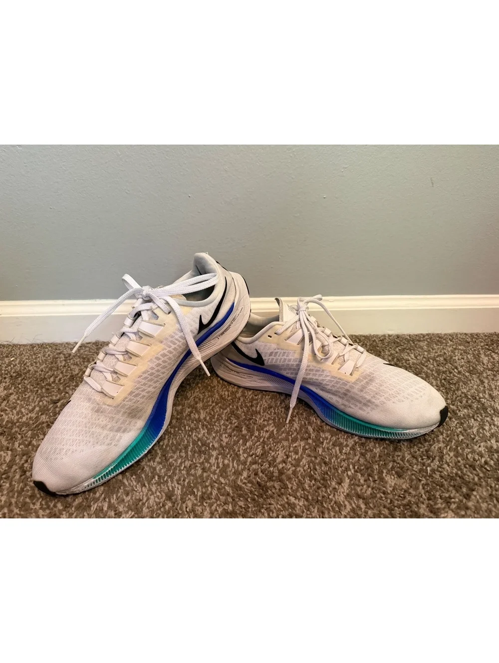 Nike Air Zoom Pegasus 37 Running Shoe Men’s 10